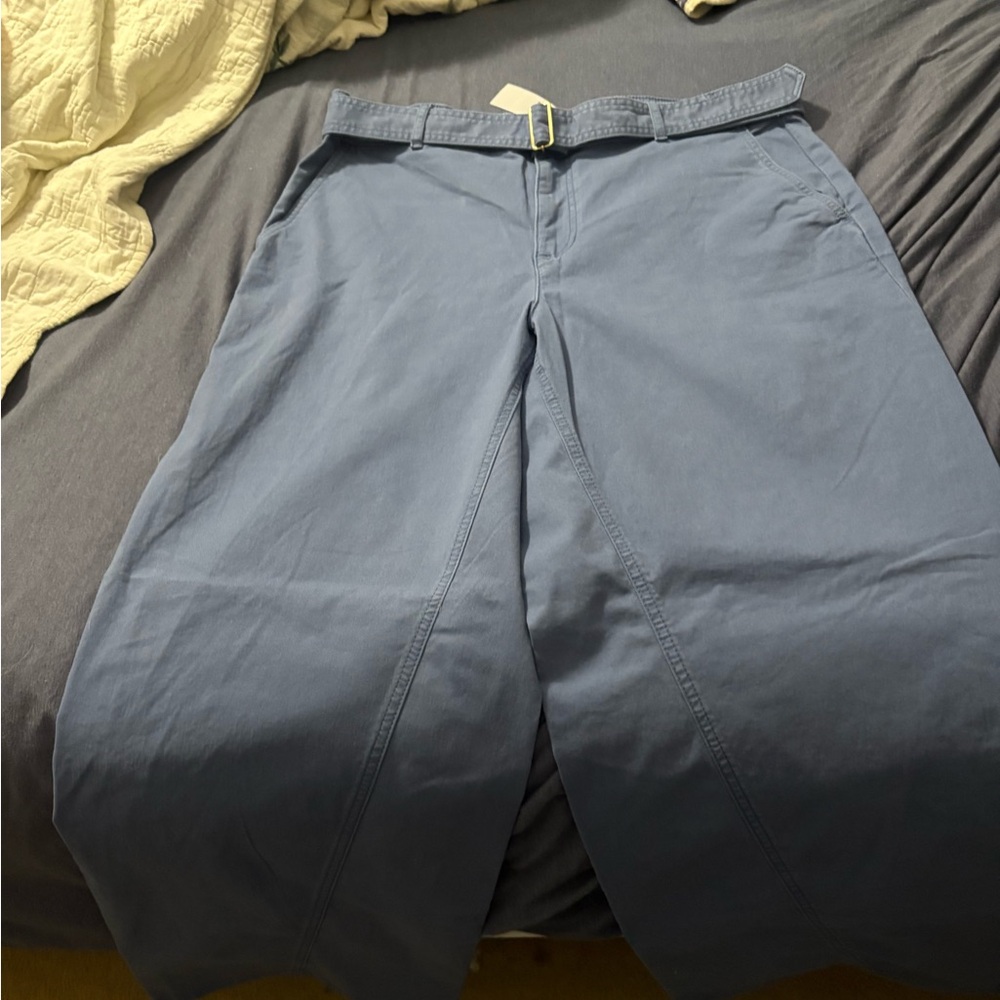 LOFT Wide Leg Pants in Blue